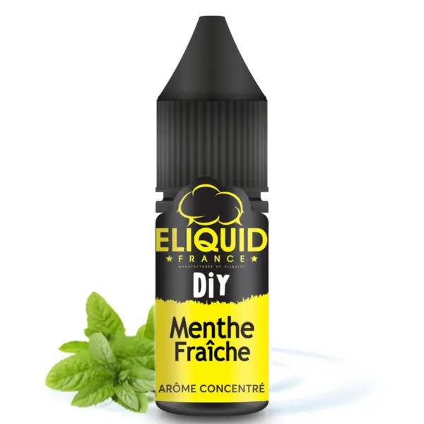 Arôme Concentré Menthe Fraiche 10ml – Eliquid France