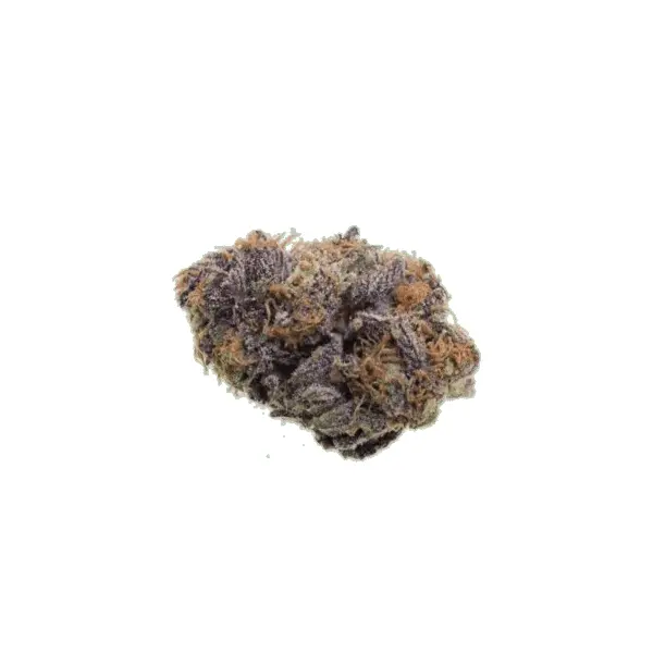 Purple Haze Hydroponie