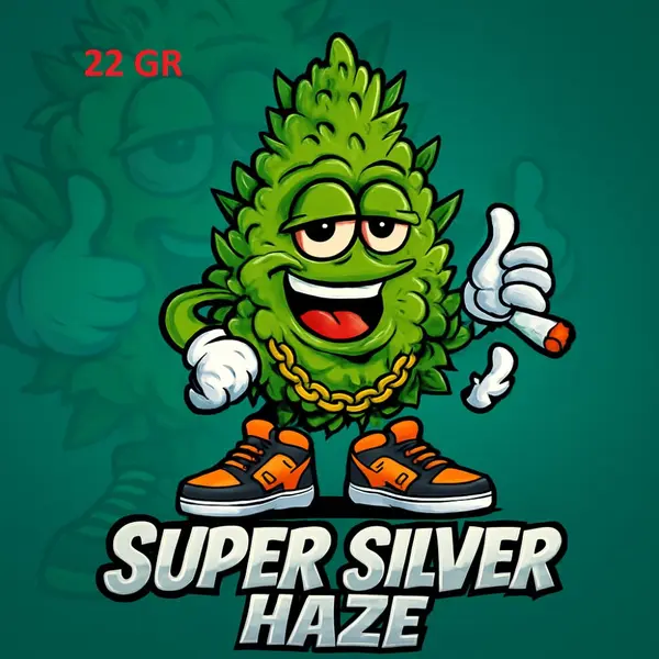 FLEUR CBD SUPER SILVER HAZE  22G